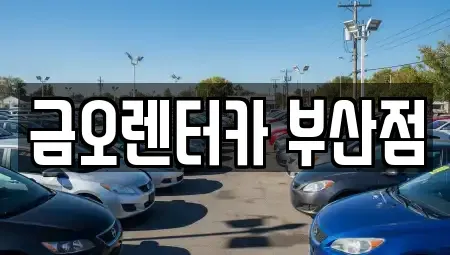 부산광역시 부산진구 부암동 장기렌트카 전문 금오렌터카 부산점