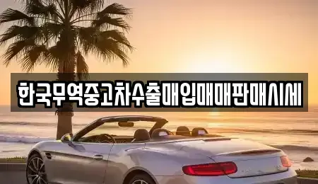 부산광역시 부산진구 부암동 중고차매입 전문 한국무역중고차수출매입매매판매시세