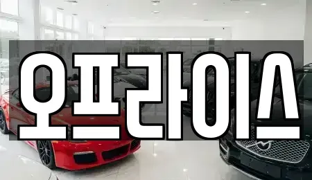 부산광역시 수영구 민락동 장기렌트카 전문 오프라이스