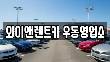부산광역시 수영구 민락동 장기렌트카 전문 와이앤렌트카 우동영업소