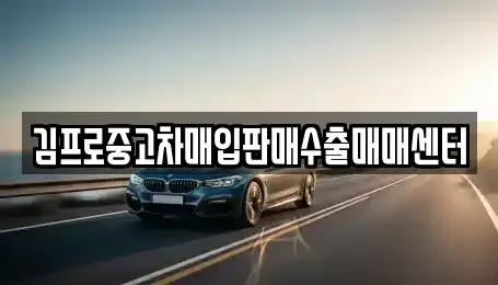 부산광역시 수영구 민락동 중고차 전문 김프로중고차매입판매수출매매센터