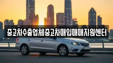 부산광역시 수영구 민락동 중고차 전문 중고차수출업체중고차매입매매지원센터