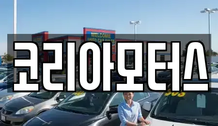 부산광역시 수영구 민락동 중고차 전문 코리아모터스