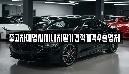 부산광역시 수영구 민락동 중고차매입 전문 중고차매입시세내차팔기견적가격수출업체