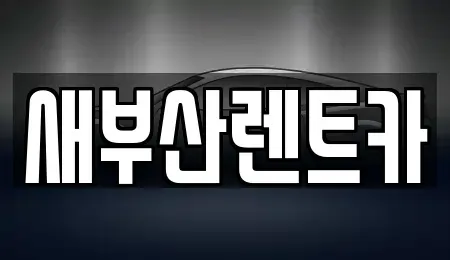 부산광역시 영도구 영선동4가 렌트카 전문 새부산렌트카