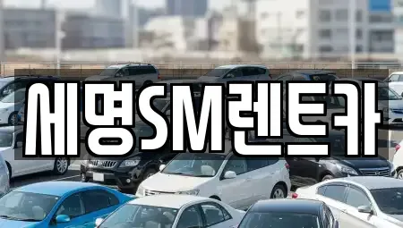 부산광역시 영도구 영선동4가 렌트카 전문 세명SM렌트카