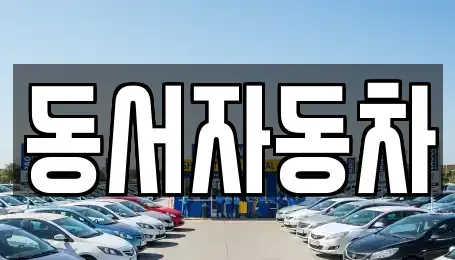 부산광역시 영도구 영선동4가 중고차 전문 동서자동차
