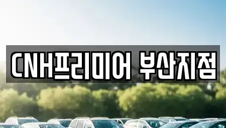 부산광역시 중구 신창동1가 렌트카 전문 CNH프리미어 부산지점