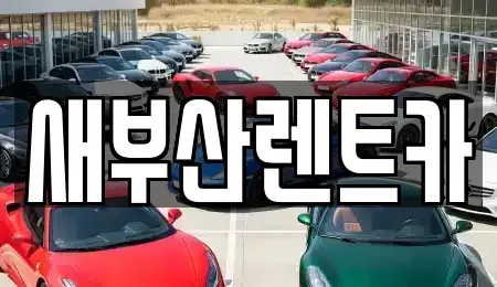 부산광역시 중구 신창동1가 렌트카 전문 새부산렌트카