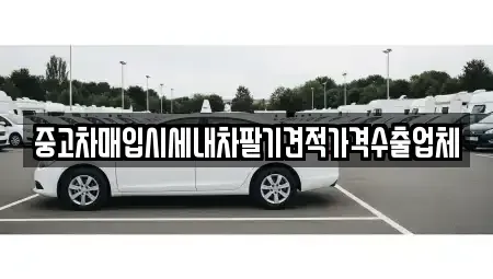 부산광역시 중구 신창동1가 중고차매입 전문 중고차매입시세내차팔기견적가격수출업체