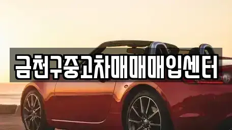 서울 금천구 가산동 중고차 전문 금천구중고차매매매입센터