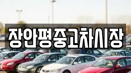 서울 동대문구 이문동 중고차 전문 장안평중고차시장