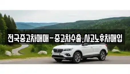 서울 동대문구 이문동 중고차 전문 전국중고차매매-중고차수출,사고노후차매입