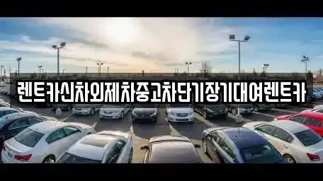 서울 동대문구 제기동 장기렌트카 전문 렌트카신차외제차중고차단기장기대여렌트카