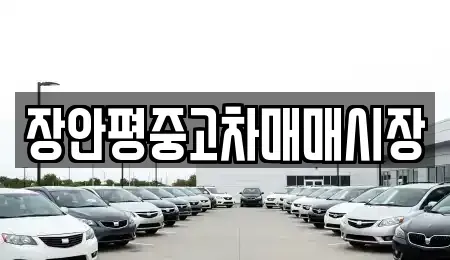 서울 동대문구 제기동 중고차 전문 장안평중고차매매시장