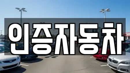 서울 동대문구 청량리동 중고차매매 전문 인증자동차
