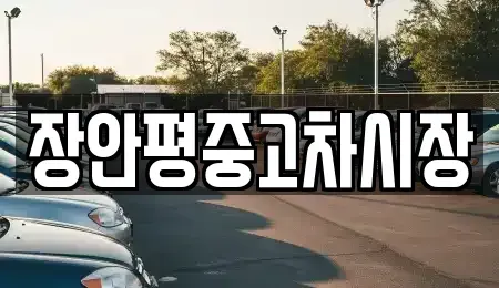 서울 동작구 본동 중고차매매 전문 장안평중고차시장
