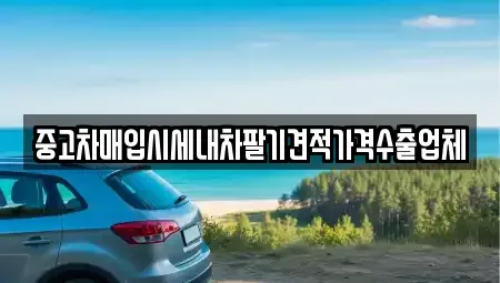 서울 동작구 본동 중고차매입 전문 중고차매입시세내차팔기견적가격수출업체