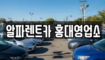 서울 마포구 동교동 렌트카 전문 알파렌트카 홍대영업소