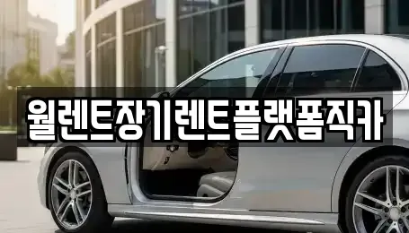 서울 마포구 동교동 장기렌트카 전문 월렌트장기렌트플랫폼직카