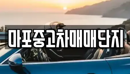 서울 마포구 동교동 중고차 전문 마포중고차매매단지