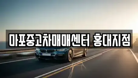 서울 마포구 동교동 중고차 전문 마포중고차매매센터 홍대지점
