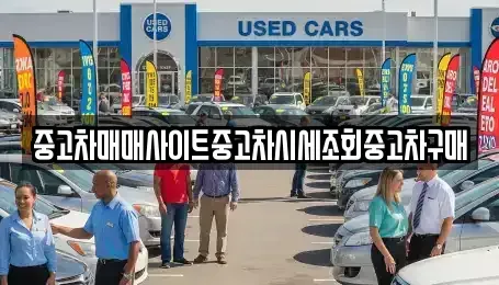 서울 마포구 동교동 중고차 전문 중고차매매사이트중고차시세조회중고차구매