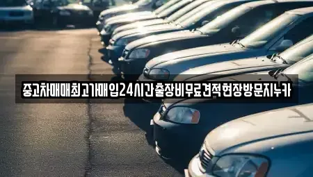 서울 마포구 동교동 중고차 전문 중고차매매최고가매입24시간출장비무료견적현장방문지누카