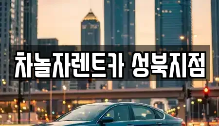 서울 성북구 렌트카 전문 차놀자렌트카 성북지점