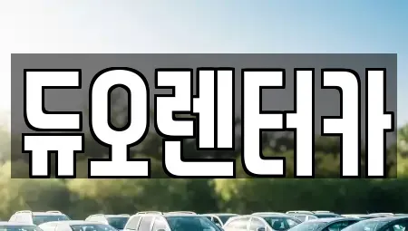 서울 성북구 성북동1가 렌트카 전문 듀오렌터카
