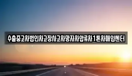 서울 성북구 성북동1가 중고차 전문 수출중고차법인차고장사고차망자차압류차1톤차매입센터