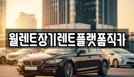 서울 성북구 장기렌트카 전문 월렌트장기렌트플랫폼직카