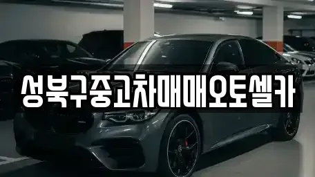 서울 성북구 중고차매매 전문 성북구중고차매매오토셀카