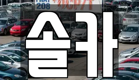 서울 성북구 중고차매매 전문 솔카