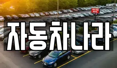 서울 성북구 중고차매매 전문 자동차나라