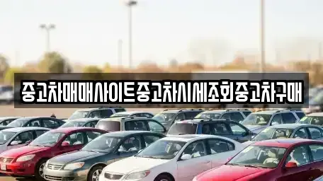 서울 성북구 중고차매매 전문 중고차매매사이트중고차시세조회중고차구매