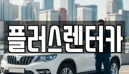 서울 용산구 용산동2가 렌트카 전문 플러스렌터카