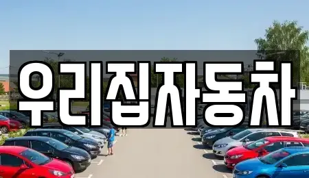 서울 용산구 용산동2가 중고차 전문 우리집자동차
