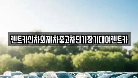 서울 용산구 원효로4가 단기렌트카 전문 렌트카신차외제차중고차단기장기대여렌트카