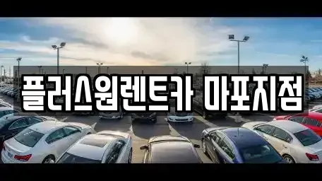 서울 용산구 원효로4가 렌트카 전문 플러스원렌트카 마포지점