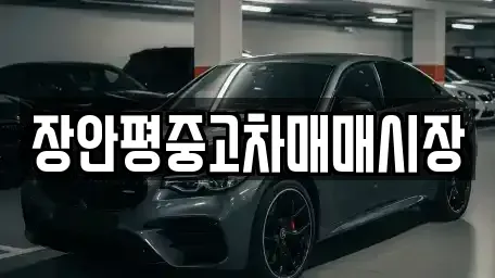 서울 용산구 원효로4가 중고차매매 전문 장안평중고차매매시장