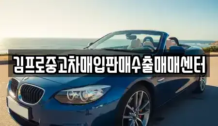 서울 용산구 원효로4가 중고차매입 전문 김프로중고차매입판매수출매매센터