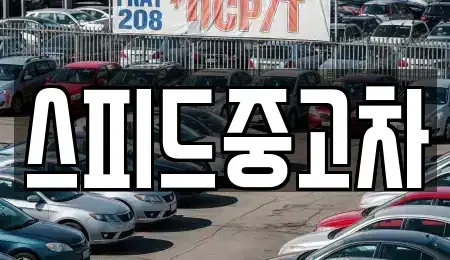 서울 은평구 응암동 중고차 전문 스피드중고차
