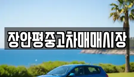 서울 은평구 응암동 중고차 전문 장안평중고차매매시장