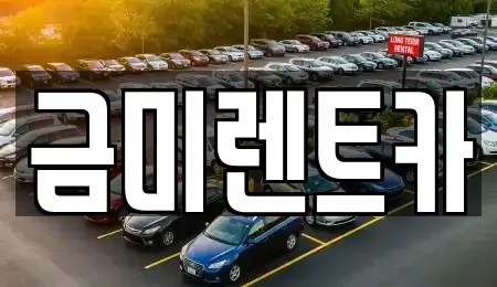 서울 종로구 신문로2가 렌트카 전문 금미렌트카