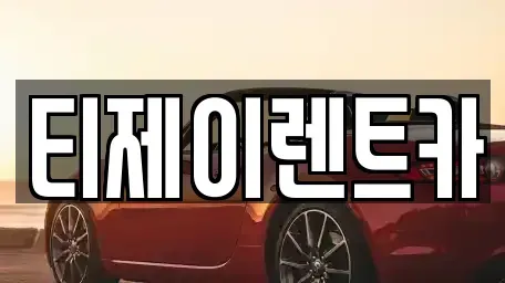서울 종로구 신문로2가 렌트카 전문 티제이렌트카