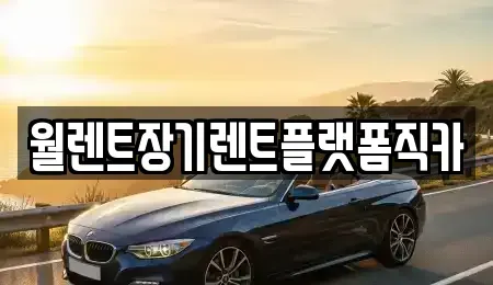 서울 종로구 신문로2가 장기렌트카 전문 월렌트장기렌트플랫폼직카
