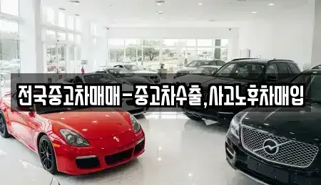 서울 종로구 신문로2가 중고차매입 전문 전국중고차매매-중고차수출,사고노후차매입