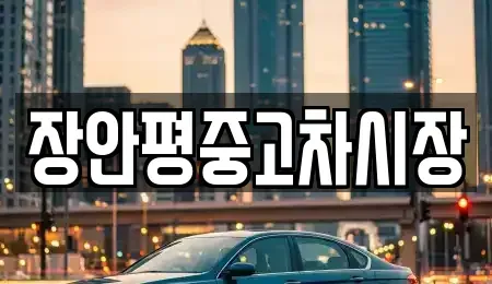 서울 종로구 종로3가 중고차매매 전문 장안평중고차시장