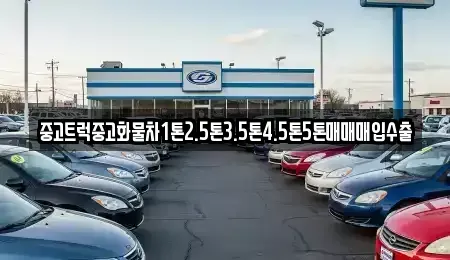 서울 종로구 종로3가 중고차매입 전문 중고트럭중고화물차1톤2.5톤3.5톤4.5톤5톤매매매입수출